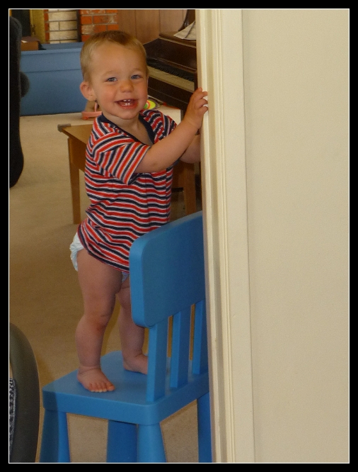 Climbs everything